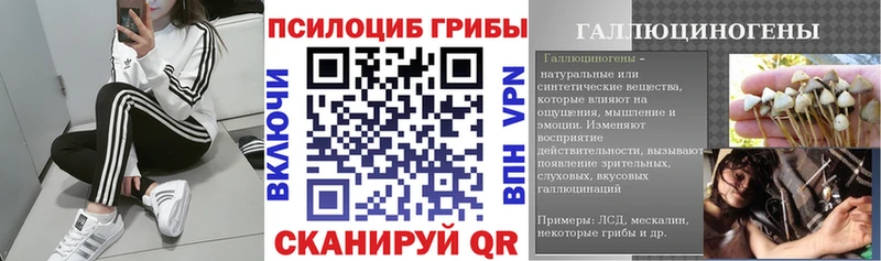 купить наркотик  hydra ONION  Псилоцибиновые грибы мухоморы  Дубовка 