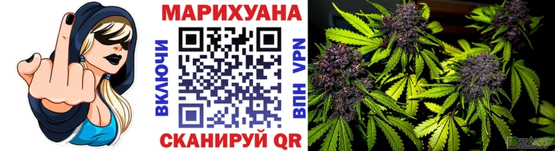 Конопля гибрид  Дубовка 